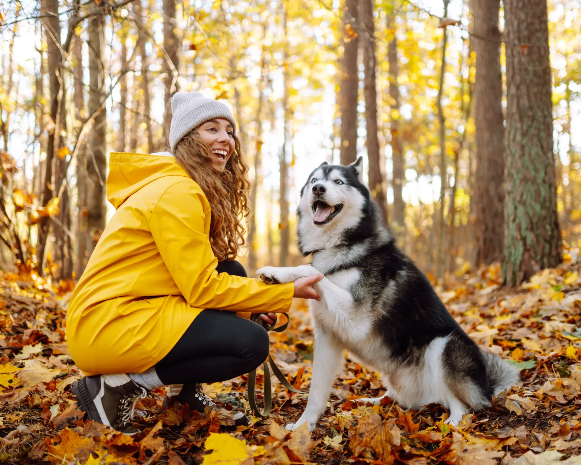 Best Dog Trainer in Orange County Discover Orange County's best dog trainer!