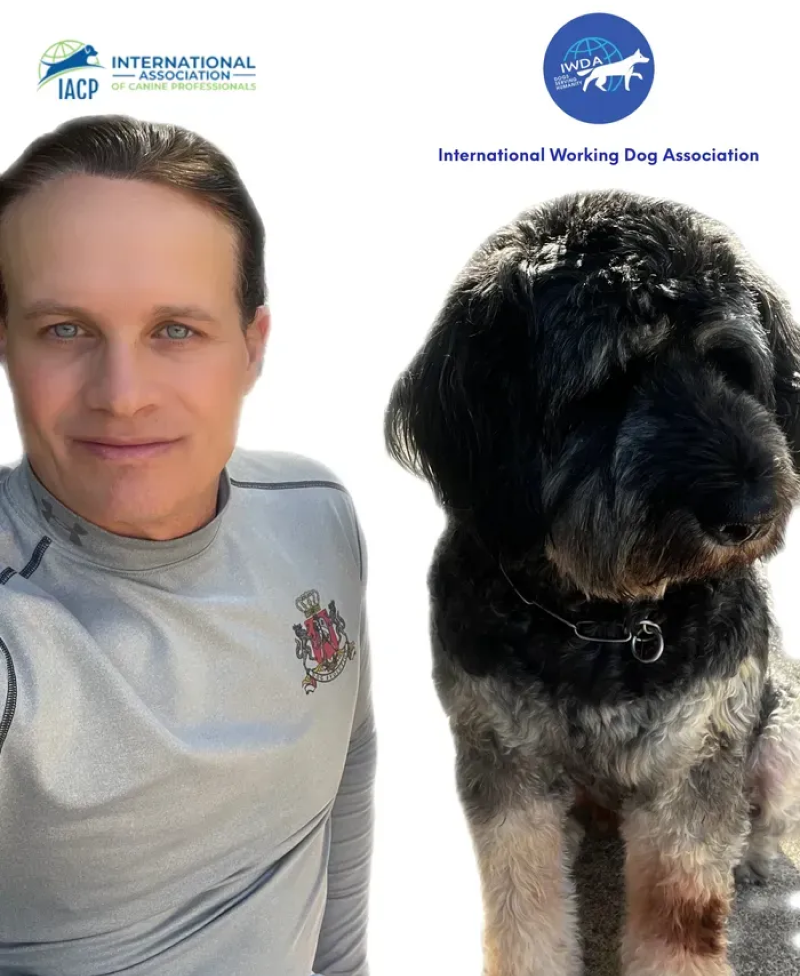 Best Dog Trainer in Orange County Discover Orange County's best dog trainer!