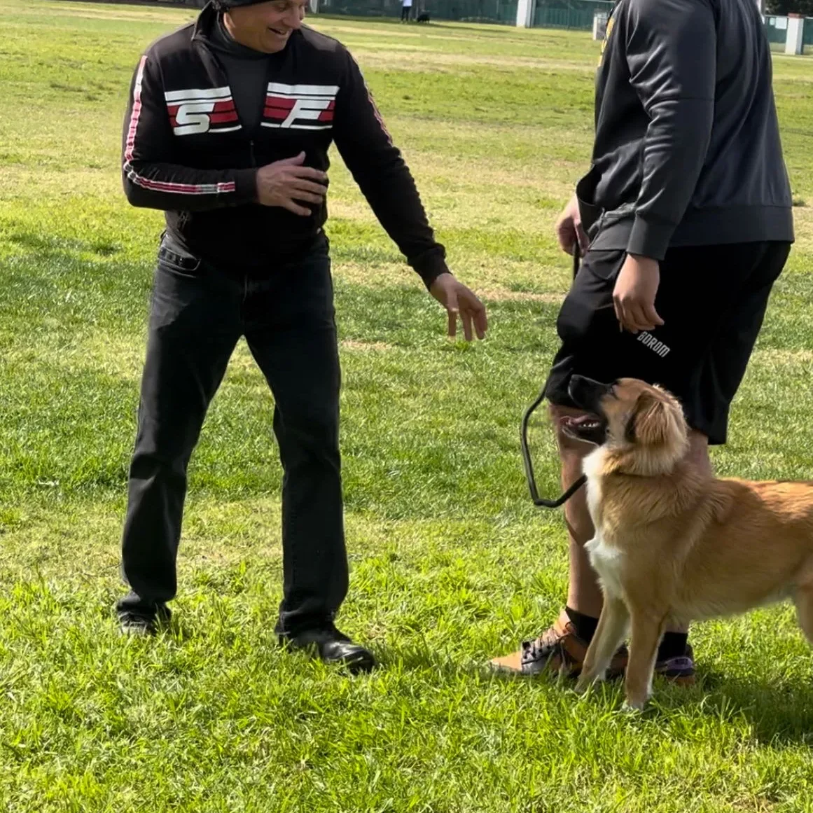 Football NFL player dog training in Orange County CA