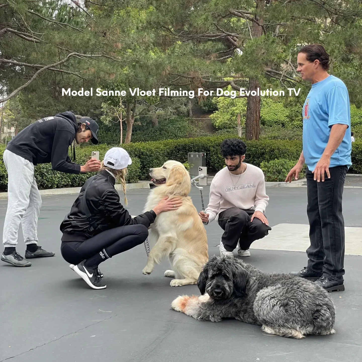 Dog Evolution, Dog Trainer, Orange County, Master Dog Trainer, Santa Ana Dog Trainer, Dog Trainer Services